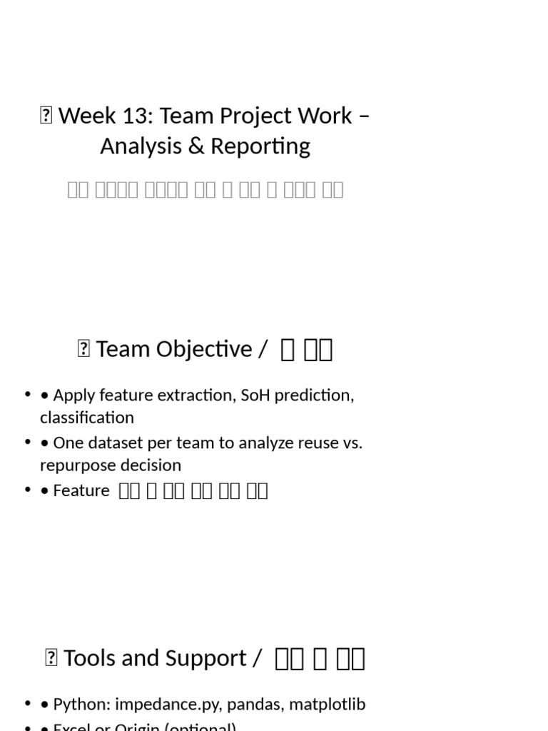 Team Project Guideline | PDF