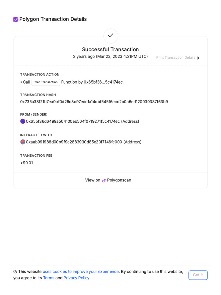 Polygon Transaction Overview March 2023 | PDF