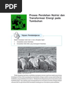 Download FOTOSINTESIS by MUHAMMAD RAMLI SN93100150 doc pdf