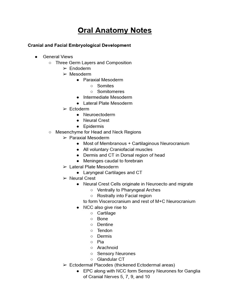 Porion Anatomy in Craniofacial Development | PDF | Dental Anatomy ...