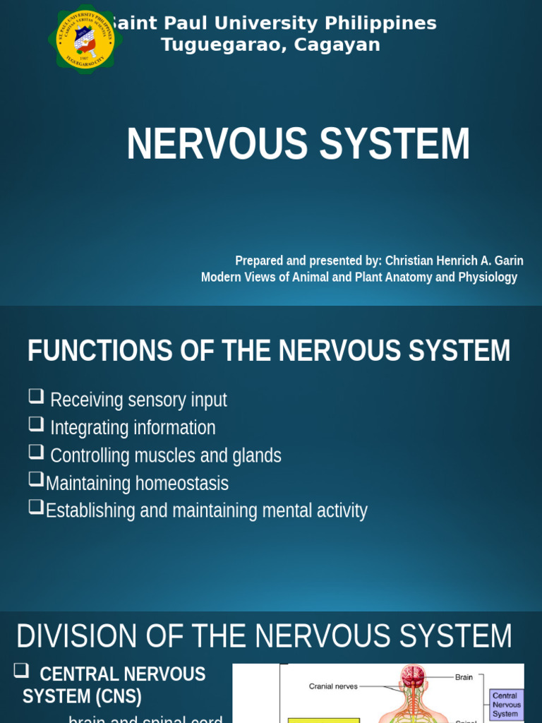 Overview of the Nervous System Functions | PDF | Central Nervous System ...