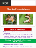 Insect Moulting Process Explained | PDF | Animal Physiology | Anatomy
