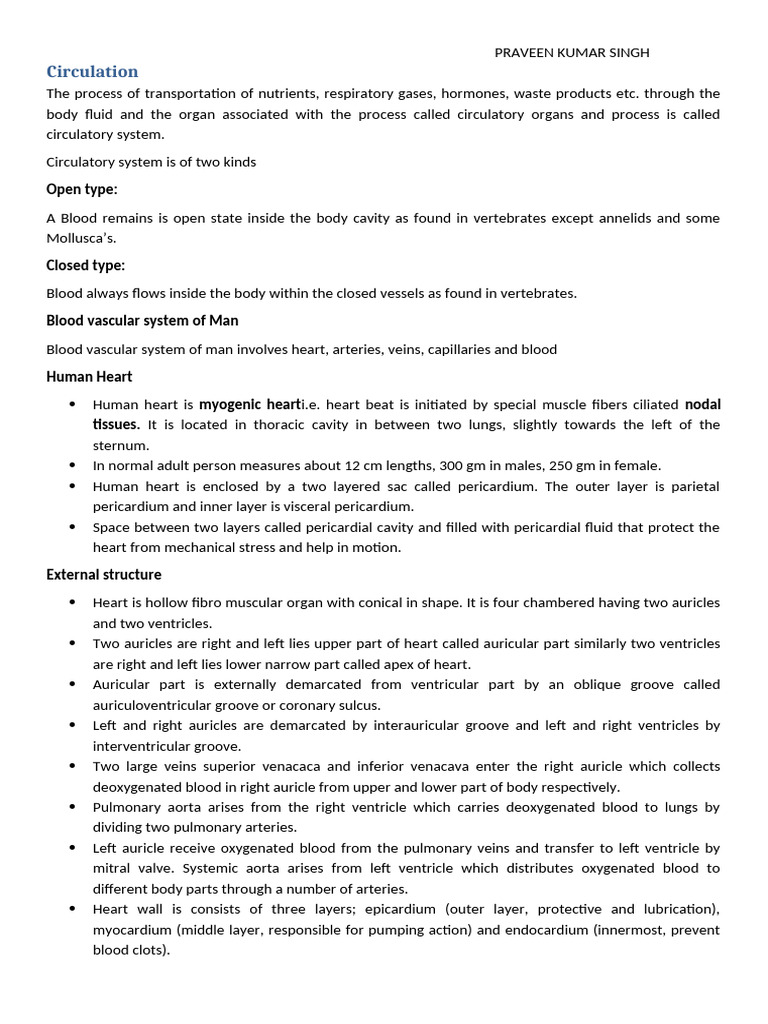 Human Circulatory System Overview | PDF | Heart | Atrium (Heart)