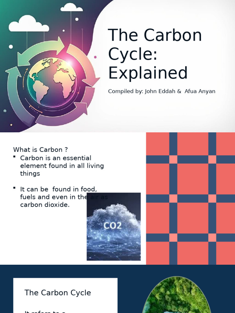 Understanding the Carbon Cycle | PDF | Carbon Dioxide | Carbon Cycle