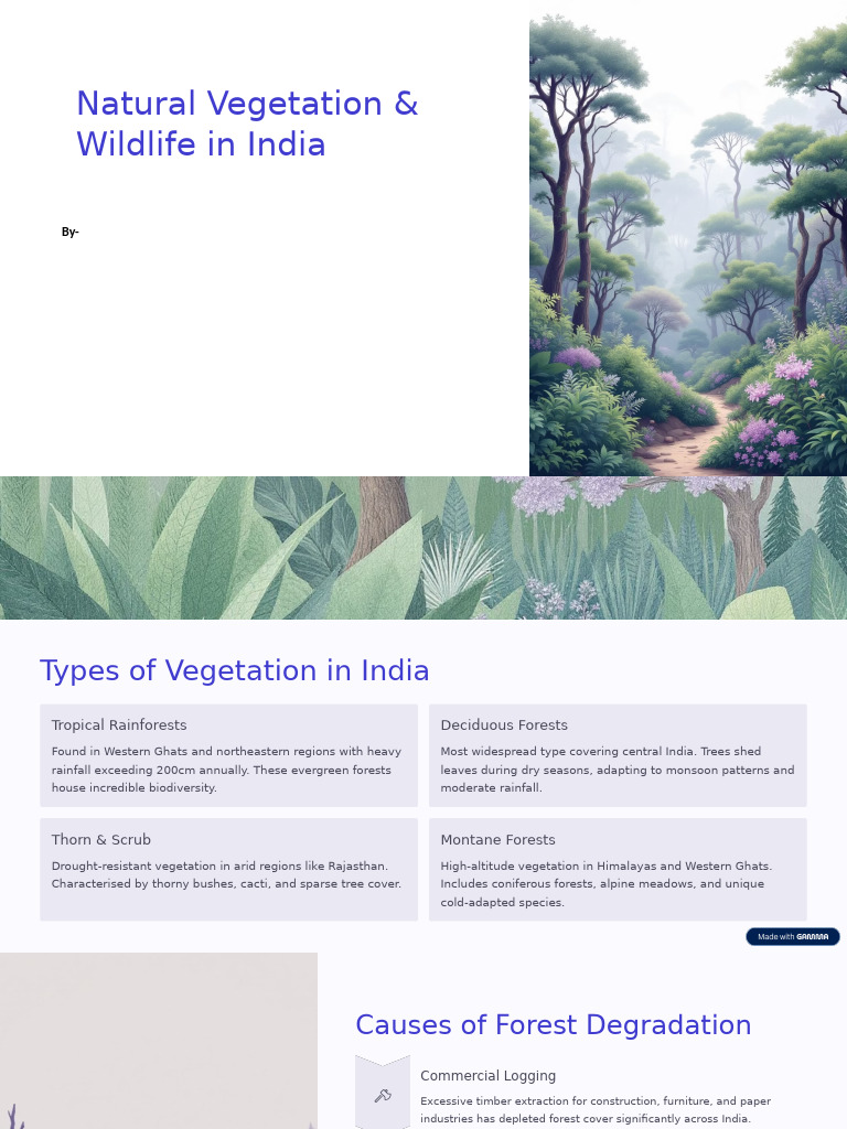 Natural Vegetation and Wildlife in India | PDF | Forests | Conservation ...