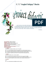 0 Proiect Didactic