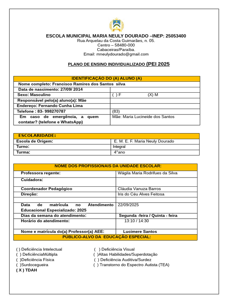 Plano de Ensino Individualizado 2025 | PDF | Aprendizado | Educação ...