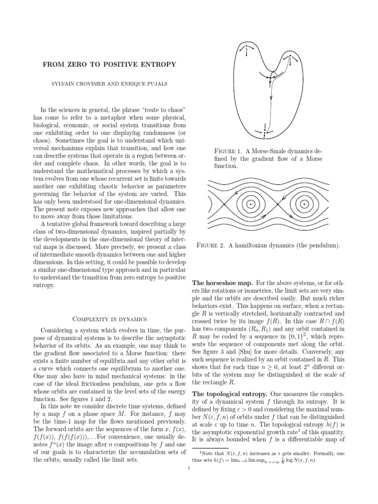 Understanding Entropy in Dynamics | PDF | Dynamical System | Chaos Theory