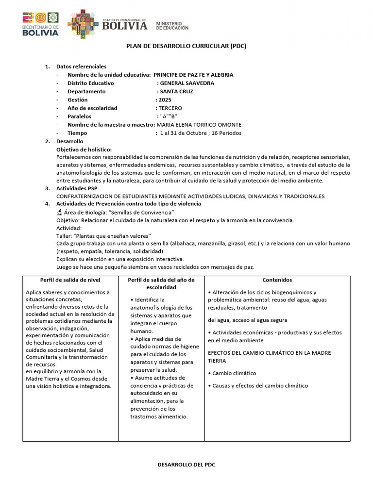 Plan de Desarrollo Curricular - Prof. Maria Elena - Octubre | PDF ...