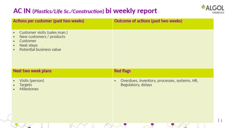 AC India Segments Bi-Weekly Report Format | PDF