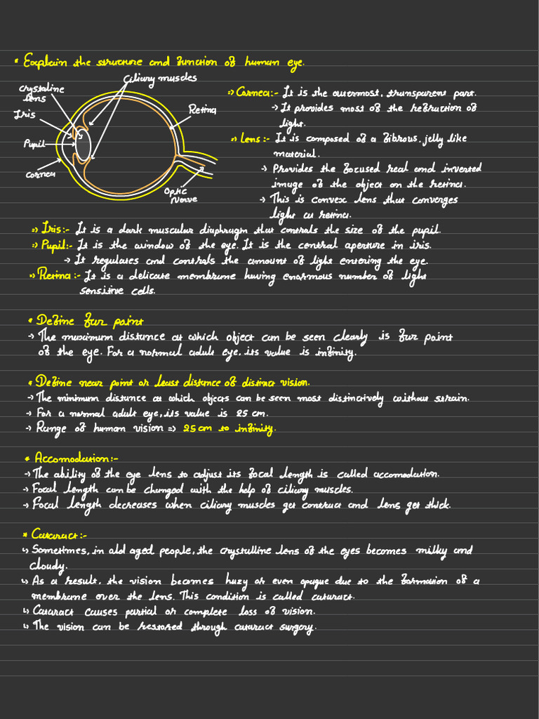 Structure and Function of the Human Eye | PDF | Rainbow | Eye