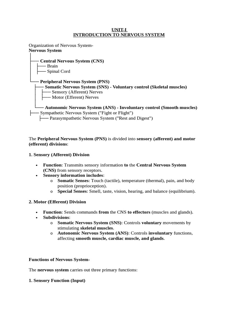 Overview of the Nervous System Functions | PDF | Chemical Synapse | Axon