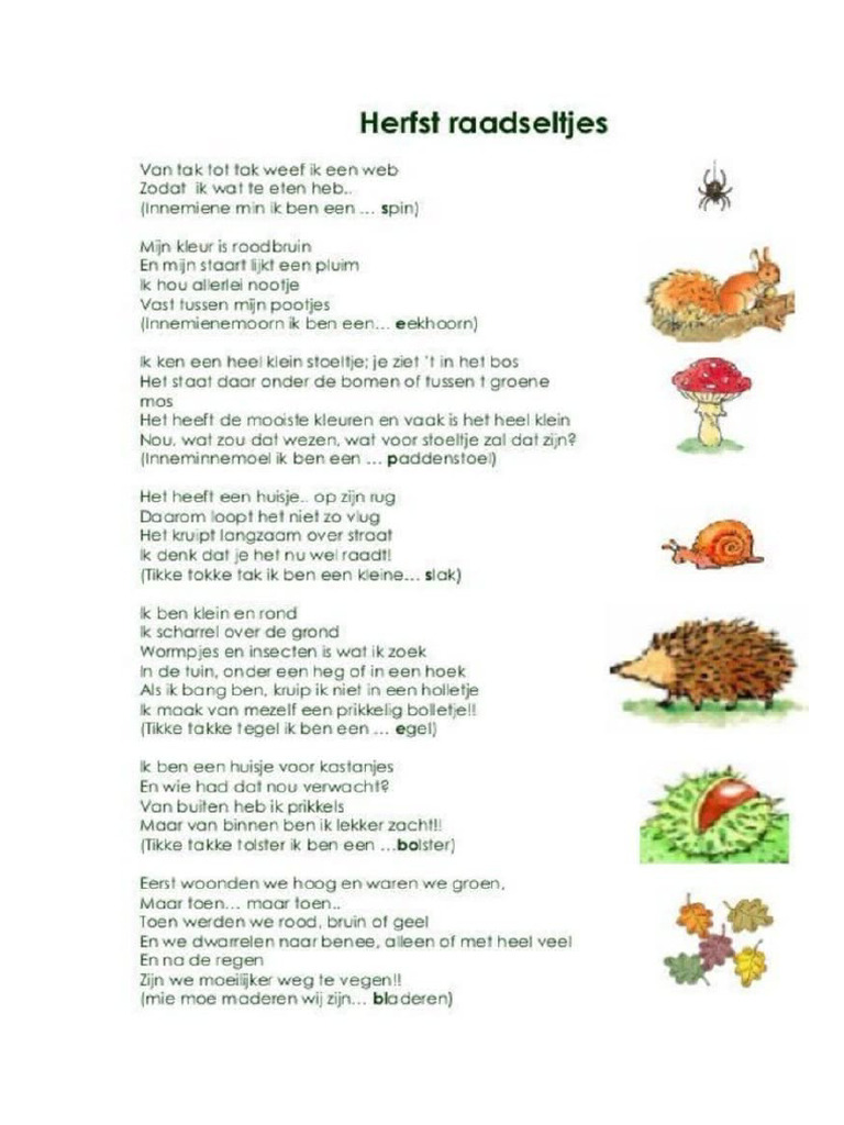 Raadsels Met Antwoord | PDF
