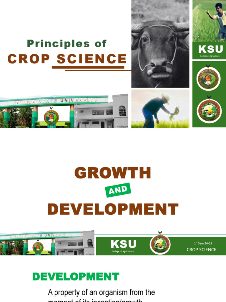 Principles of Crop Science Overview | PDF | Seed | Plant Hormone