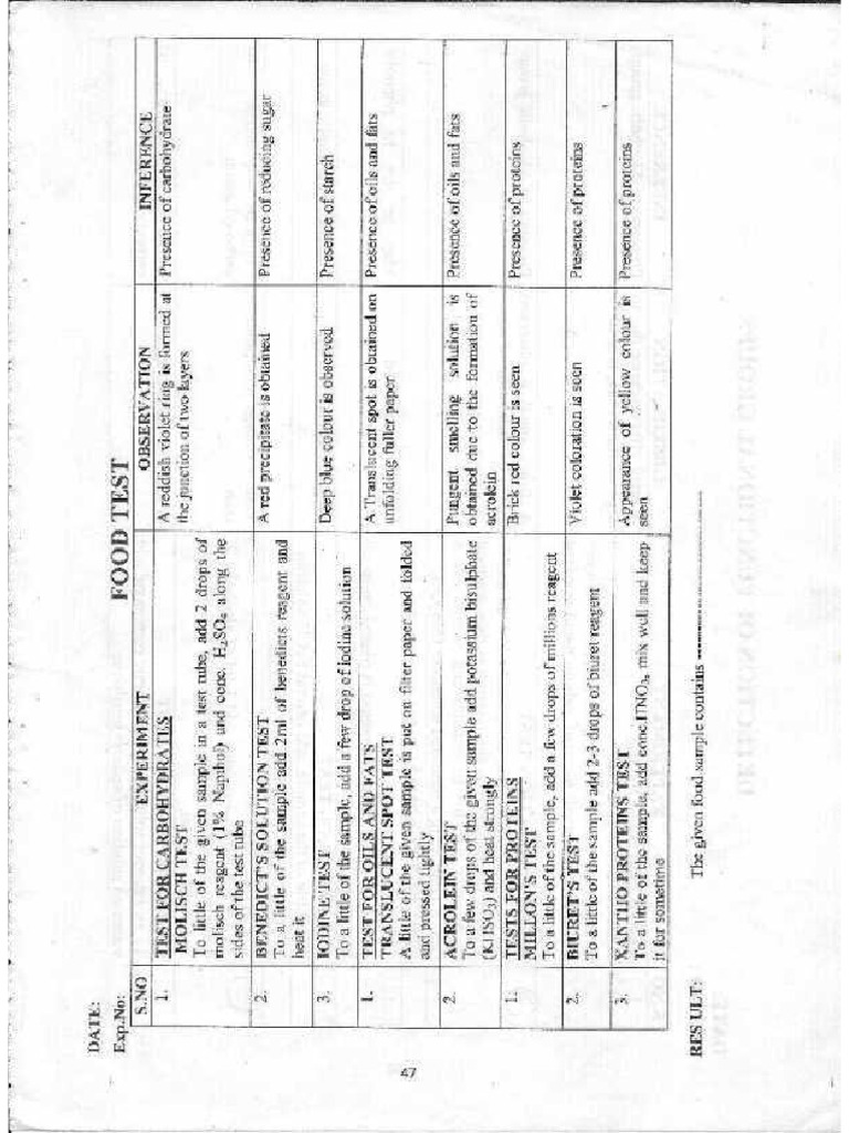 Food Test | PDF