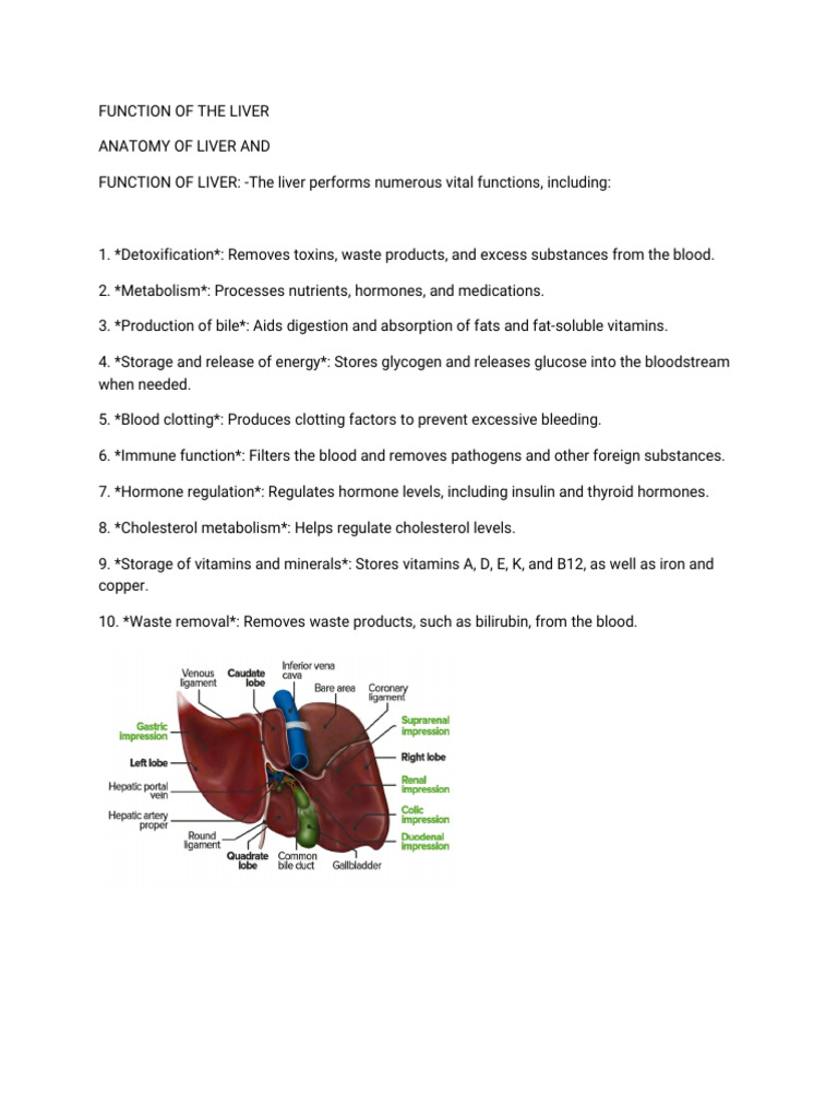 Vital Functions of the Liver | PDF