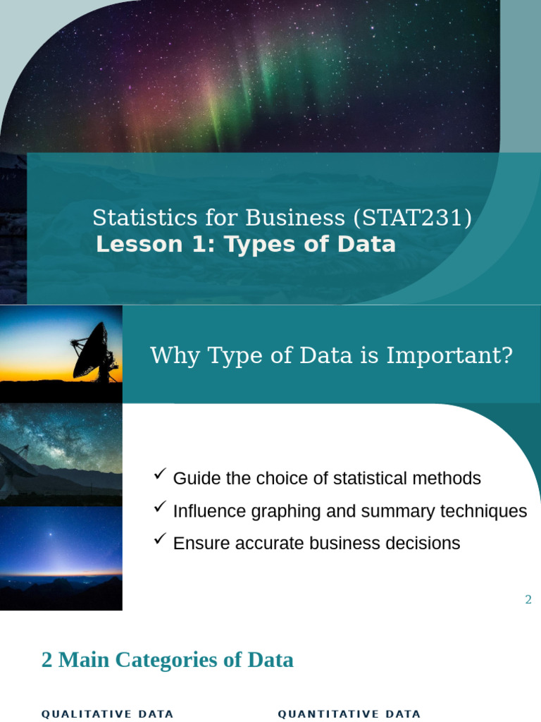 Understanding Data Types in Business | PDF | Statistics