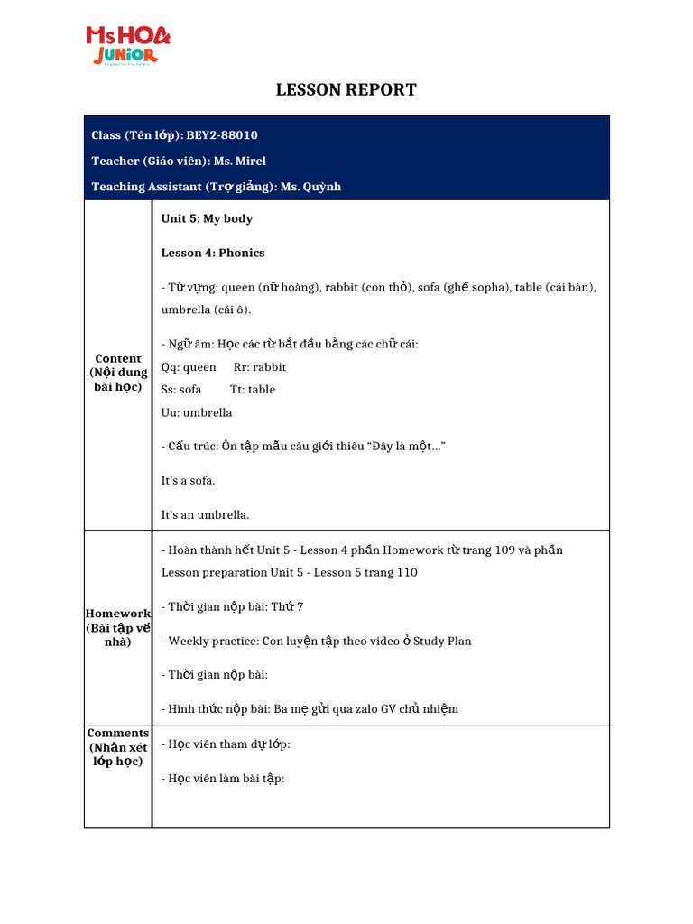 Lesson Report | PDF