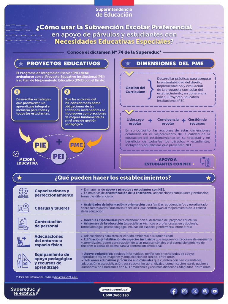 Estrategias para Estudiantes con NEE | PDF | Plan de estudios ...