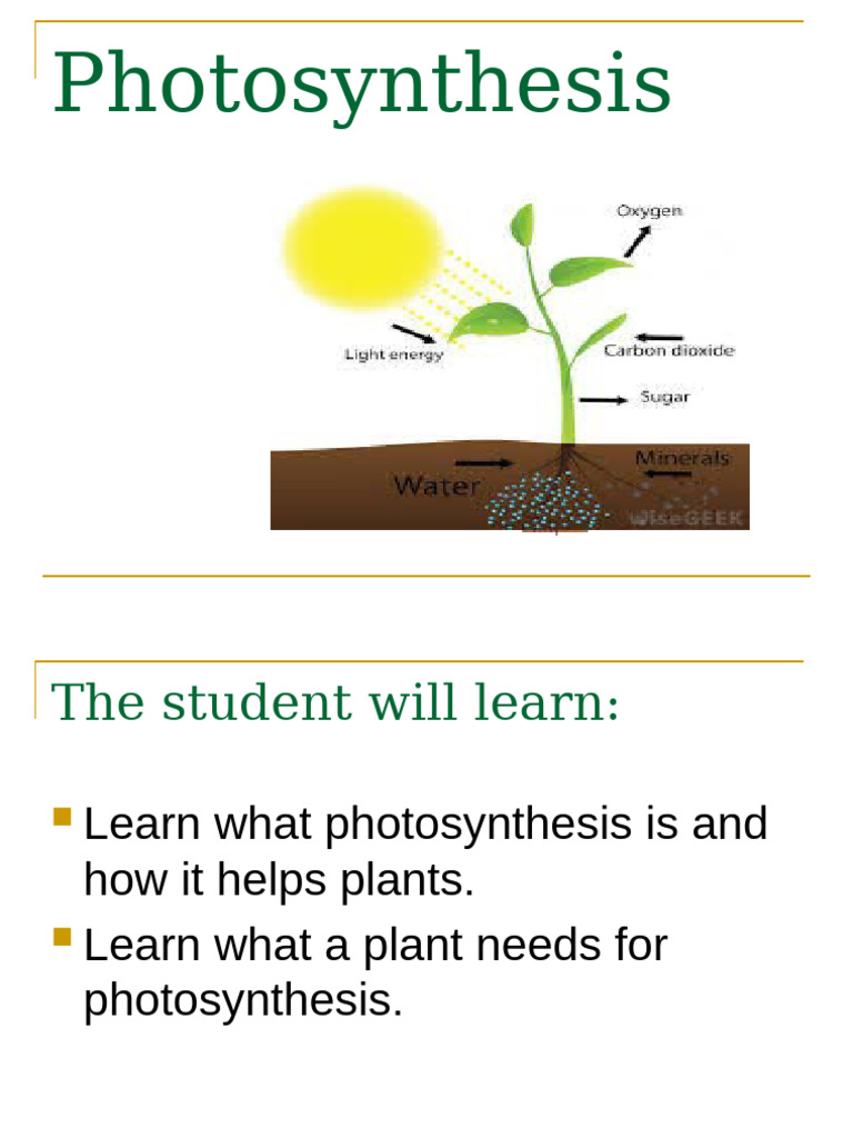 Photosynthesis 160216170920 | PDF