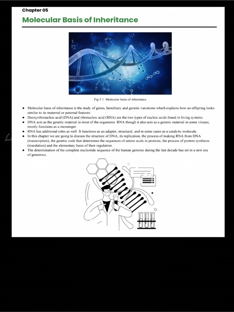 MBI 1 Notes - 250428 - 071108 | PDF