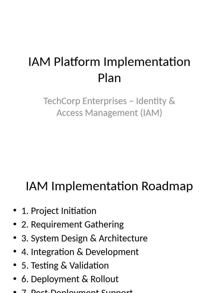 IAM Implementation Roadmap for TechCorp | PDF