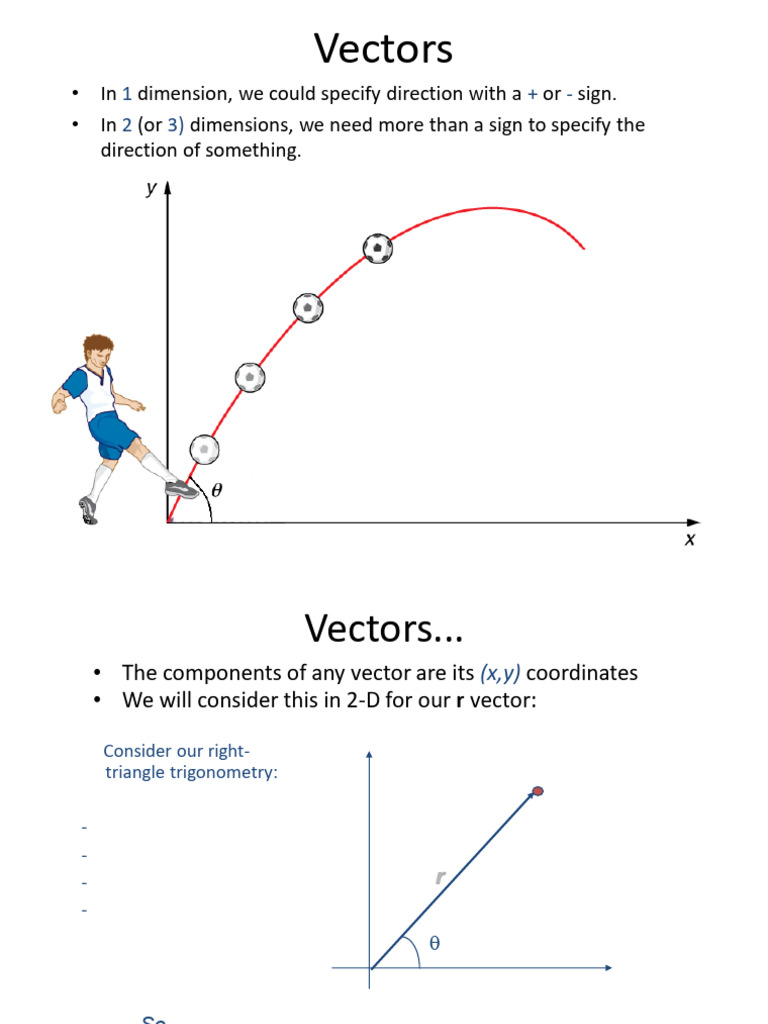 Vectors and 2D Motion Lecture 1 | PDF