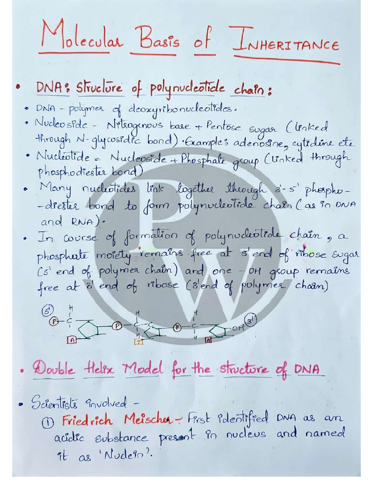 68a481f75e49cdb492d986a5 - ## - Molecular Basis of Inheritance ...