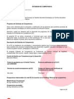Estandar de Competencia PDF