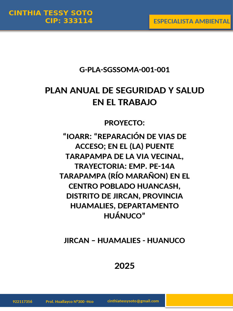 Plan Anual de Seguridad y Salud 2025 | PDF | Seguridad y salud ...