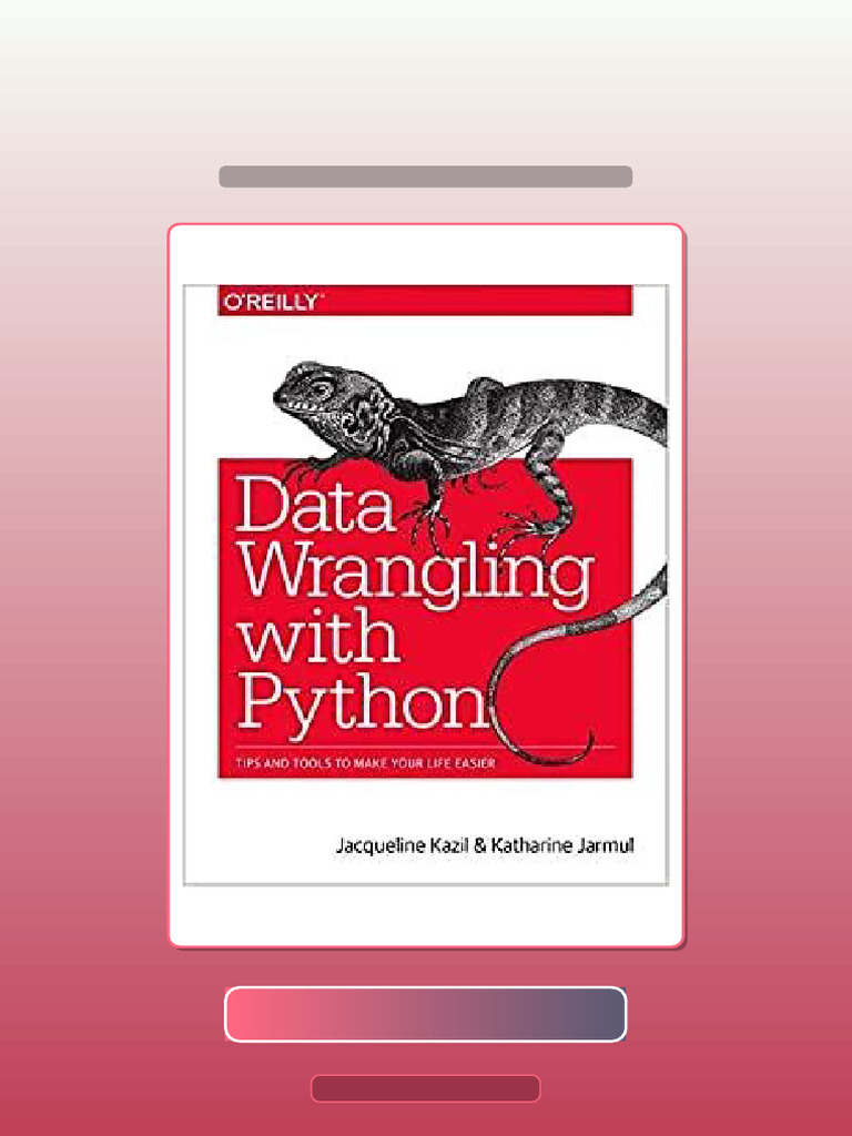Data Wrangling With Python Tips and Tools To Make Your Life Easier Get ...