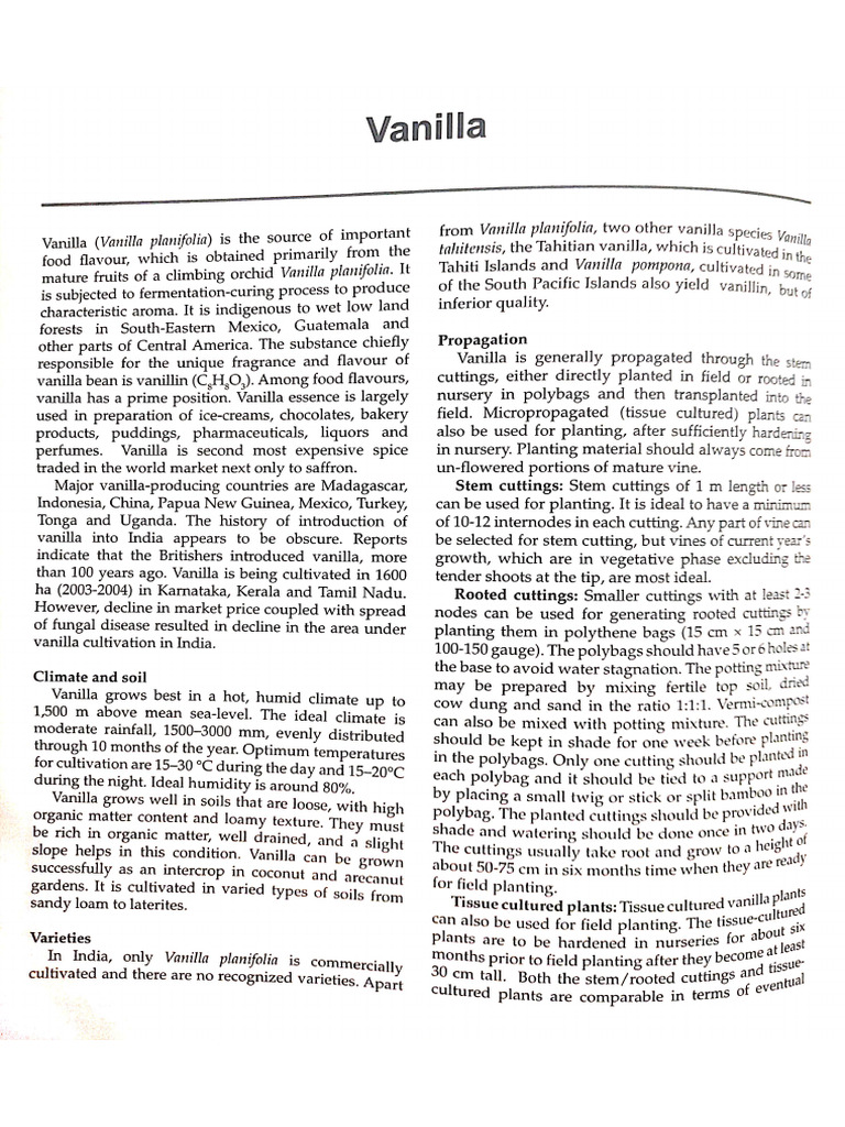 Vanilla | PDF