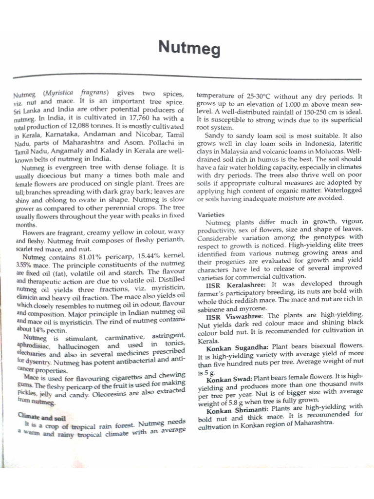 Nutmeg | PDF