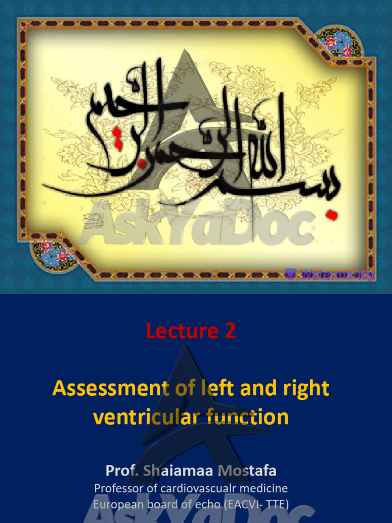 Assessment of Ventricular Function in Cardiology | PDF