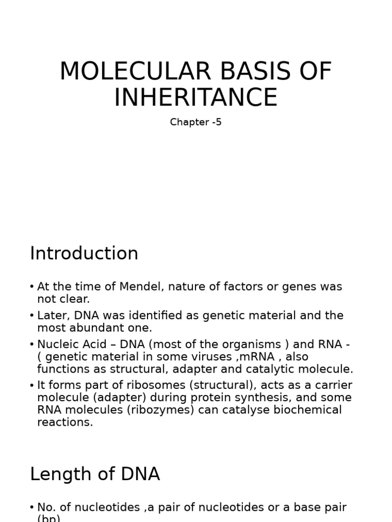 Molecular Basis of Inheritance Explained | PDF | Nucleotides | Genetic Code
