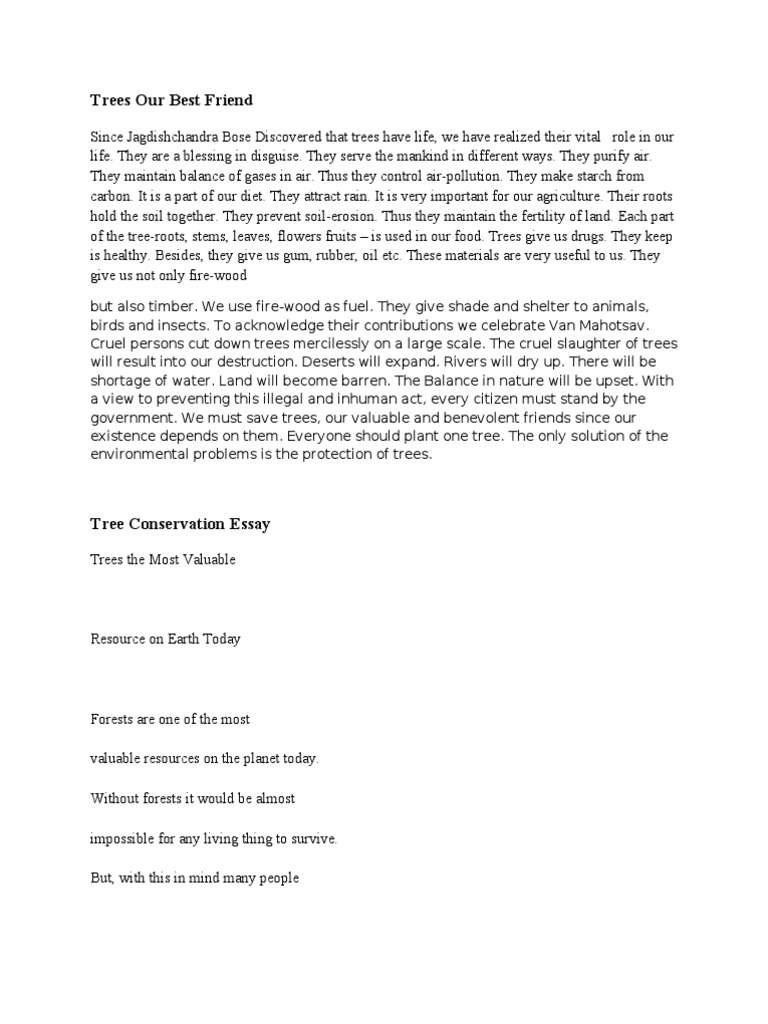 Trees Our Best Friend PDF Trees Global Warming