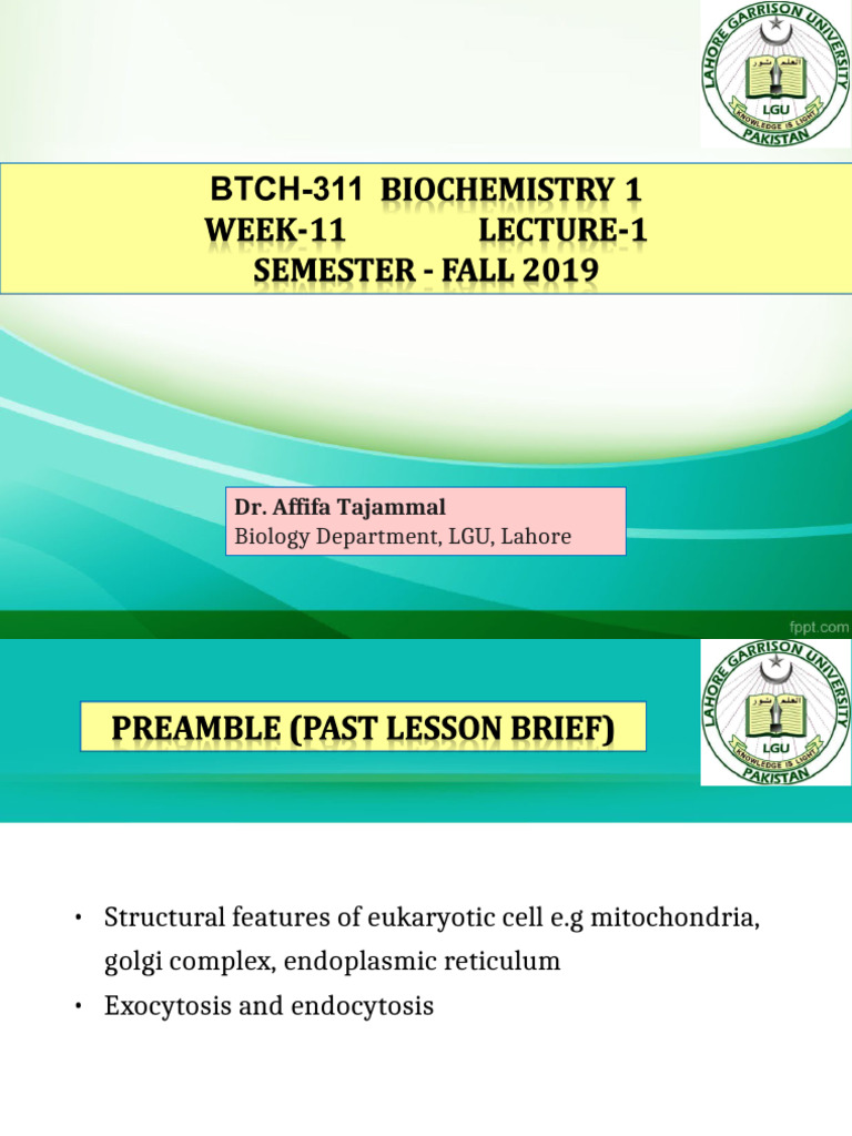 Eukaryotic vs Prokaryotic Cells Explained | PDF | Cell (Biology ...