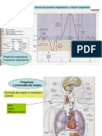 Adattamenti Respiratorio 1