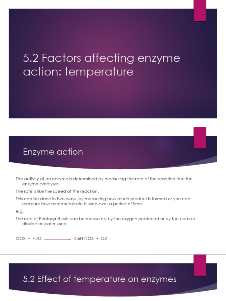 Temperature Effects on Enzyme Activity | PDF | Enzyme | Reaction Rate