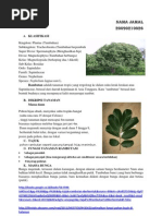 Download Klasifikasi rambutan by Abiem Laskar Hirata SN93124674 doc pdf