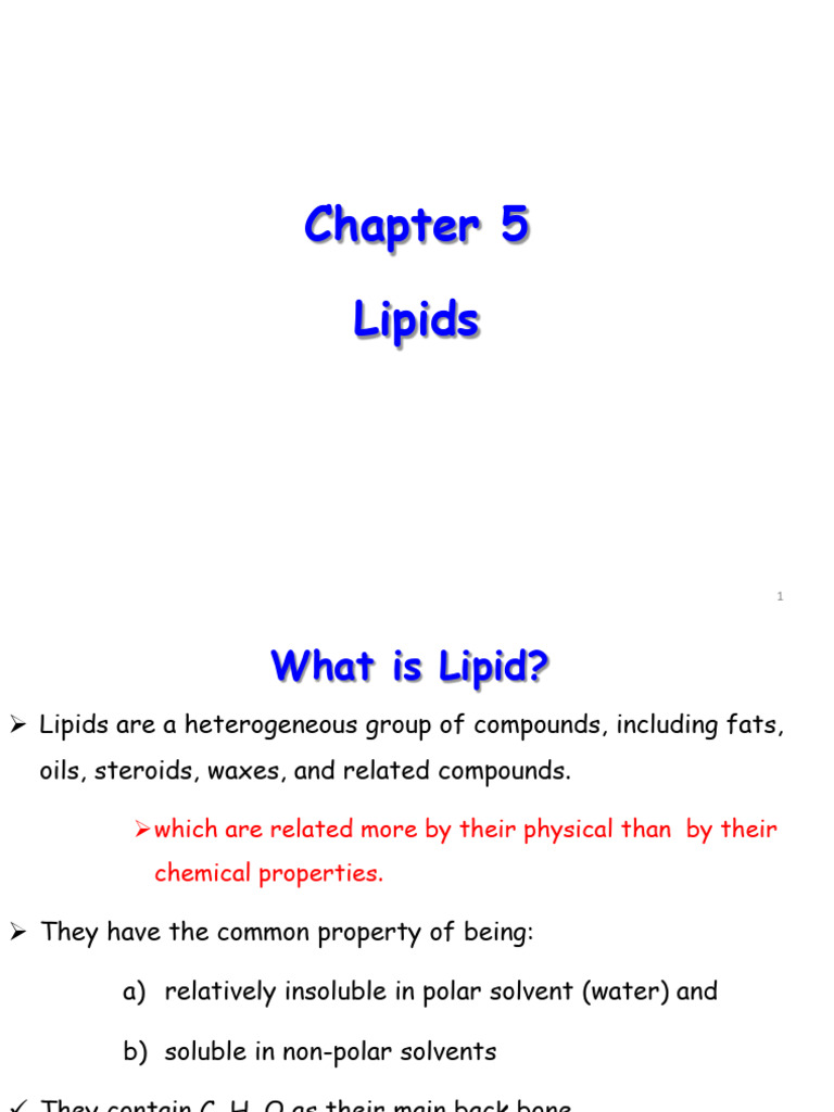 Chapter 5 Biochemistry 2023 | PDF | Lipid | Fat