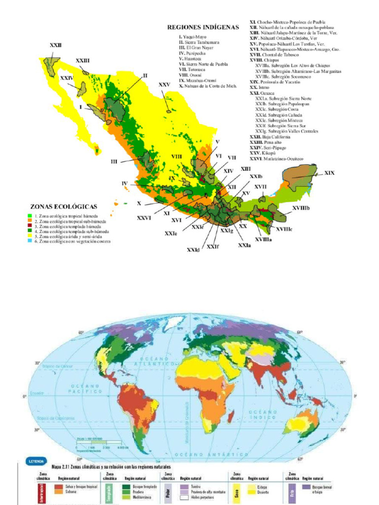Mapa de Pueblos Indigenas | PDF