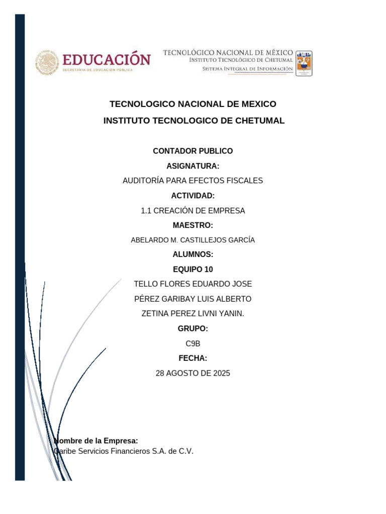 Copia de Eq.10 Act. 1.1 Aud. Efec. Fisc. | PDF