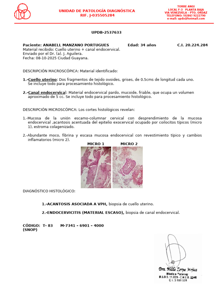 Updb 2537633 | PDF