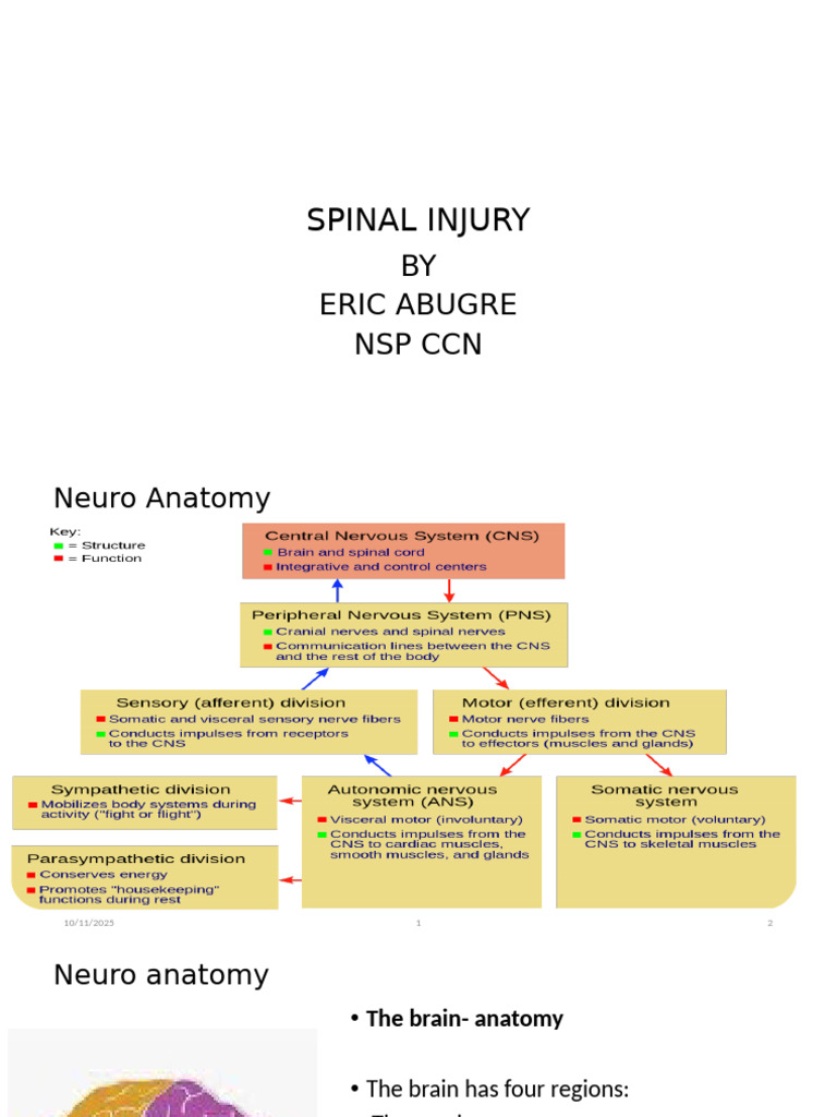 SPINAL INJURY Regentr | PDF | Coma | Neuroanatomy