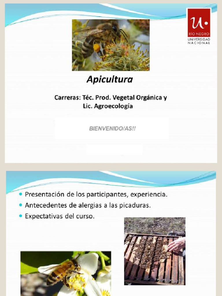 Evolución y Manejo de la Apicultura | PDF