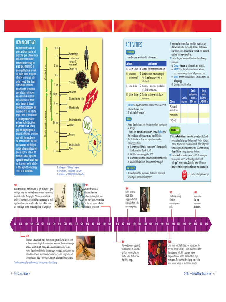 History of the Microscope Timeline | PDF | Microscope | Electron Microscope