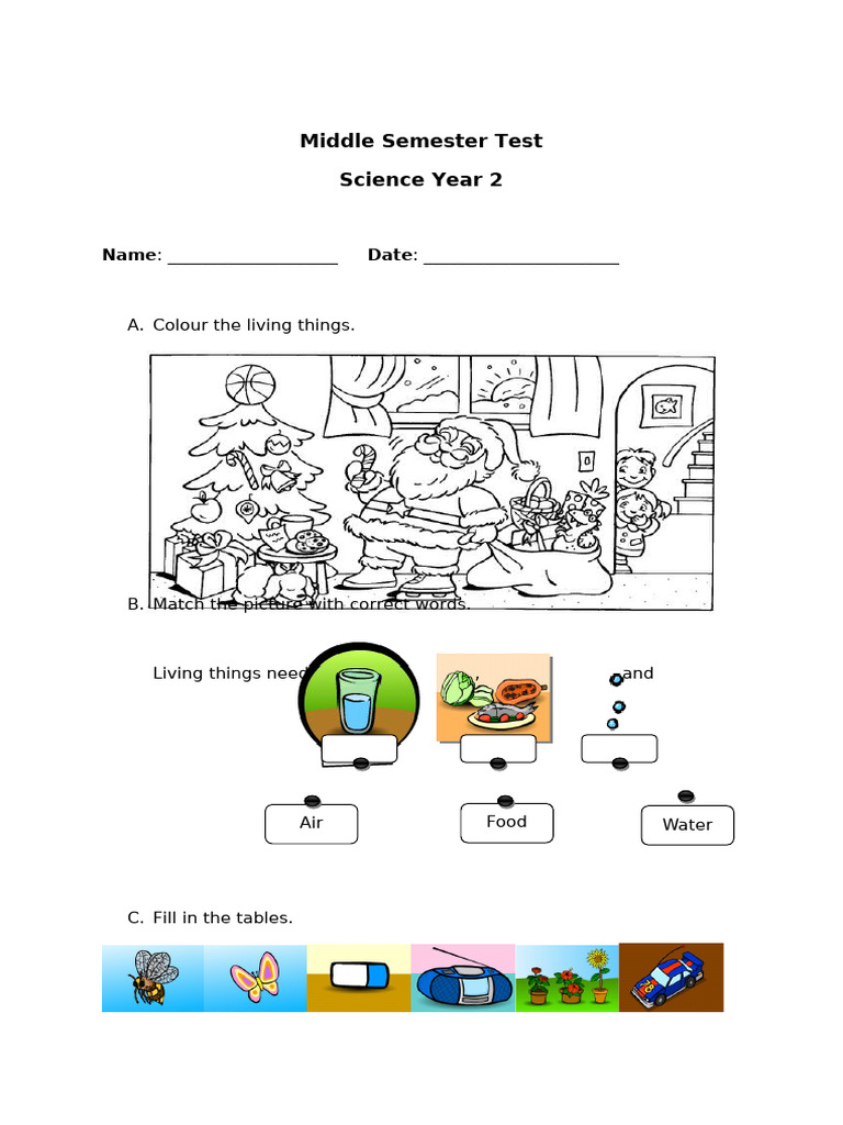 Science Year 2 | PDF