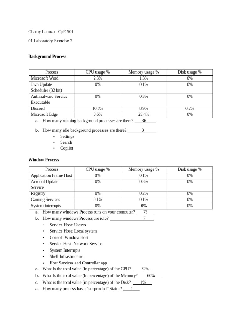Background Process Analysis in Task Manager | PDF | Process (Computing ...
