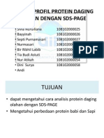 Sosis Dan Kornet Dengan SDS Page